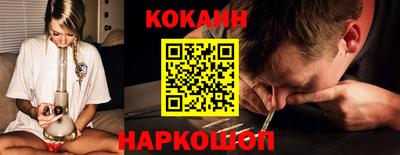 шишки Будённовск