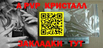 шишки Будённовск