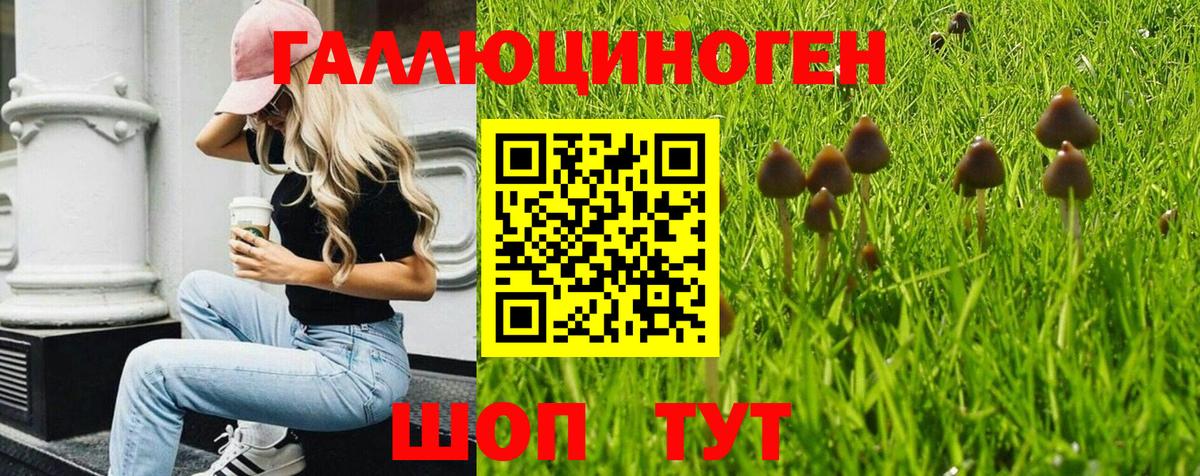 Псилоцибиновые грибы Magic Shrooms  Псилоцибиновые грибы Magic Shrooms  Вход с VPN  Нижний Тагил 