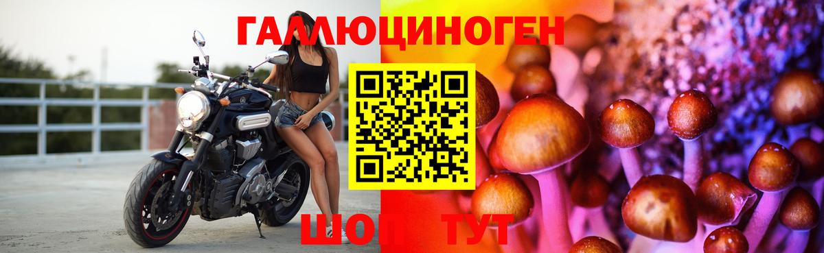 Псилоцибиновые грибы прущие грибы Нижний Тагил